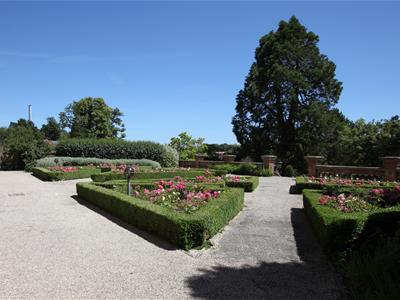 Picture 11